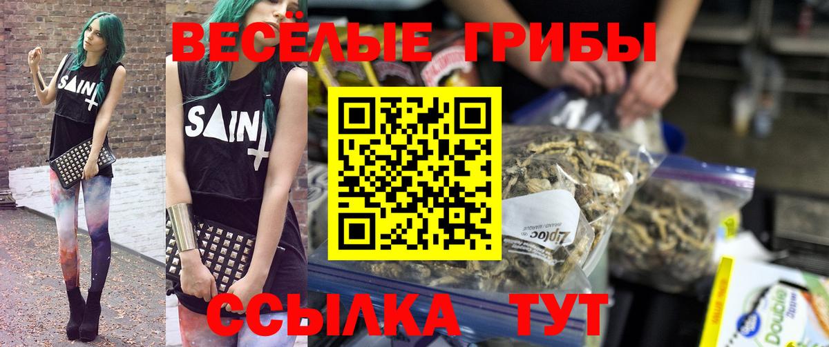 Псилоцибиновые грибы Cubensis  Вход с VPN  Искитим 